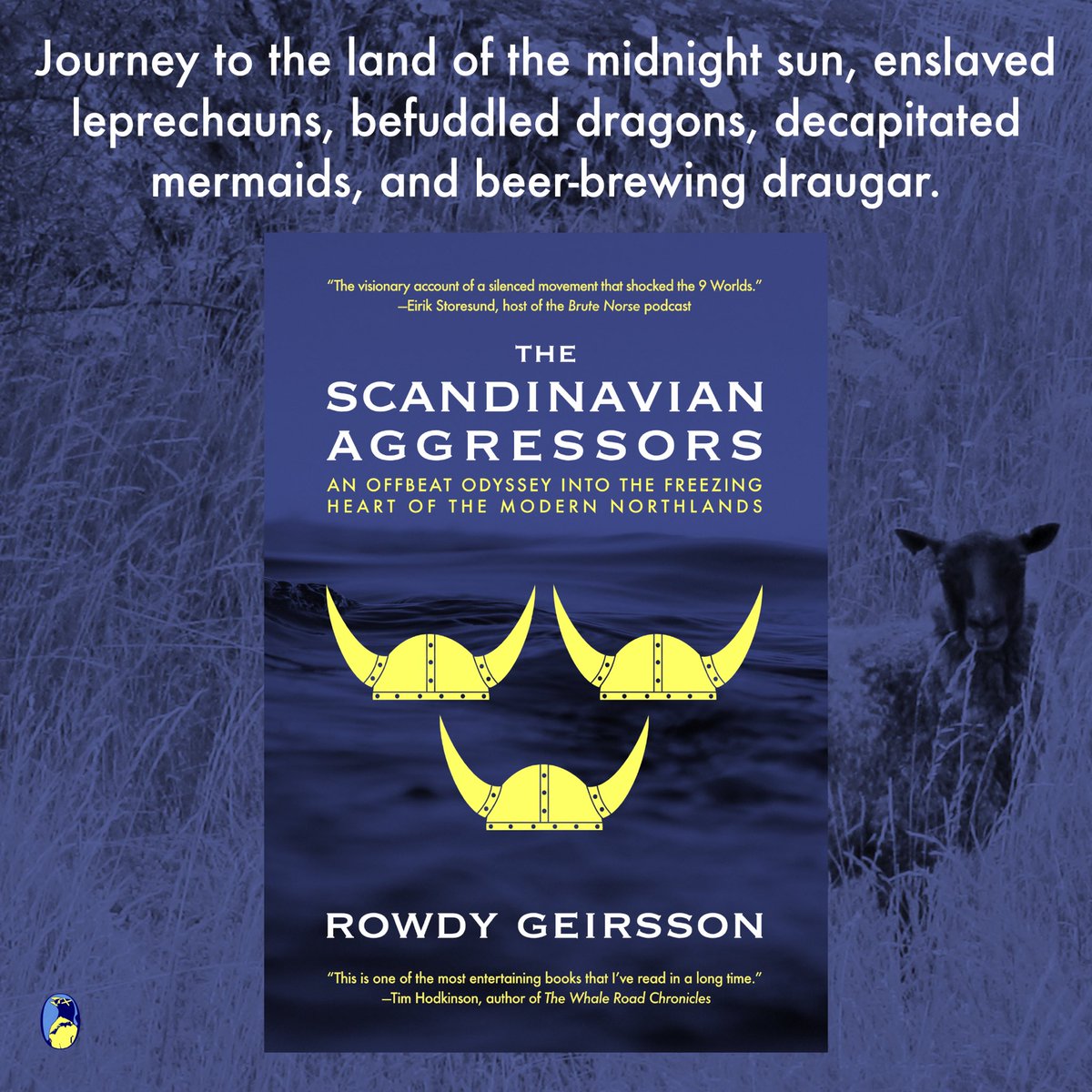 Rowdy Geirsson tweet media