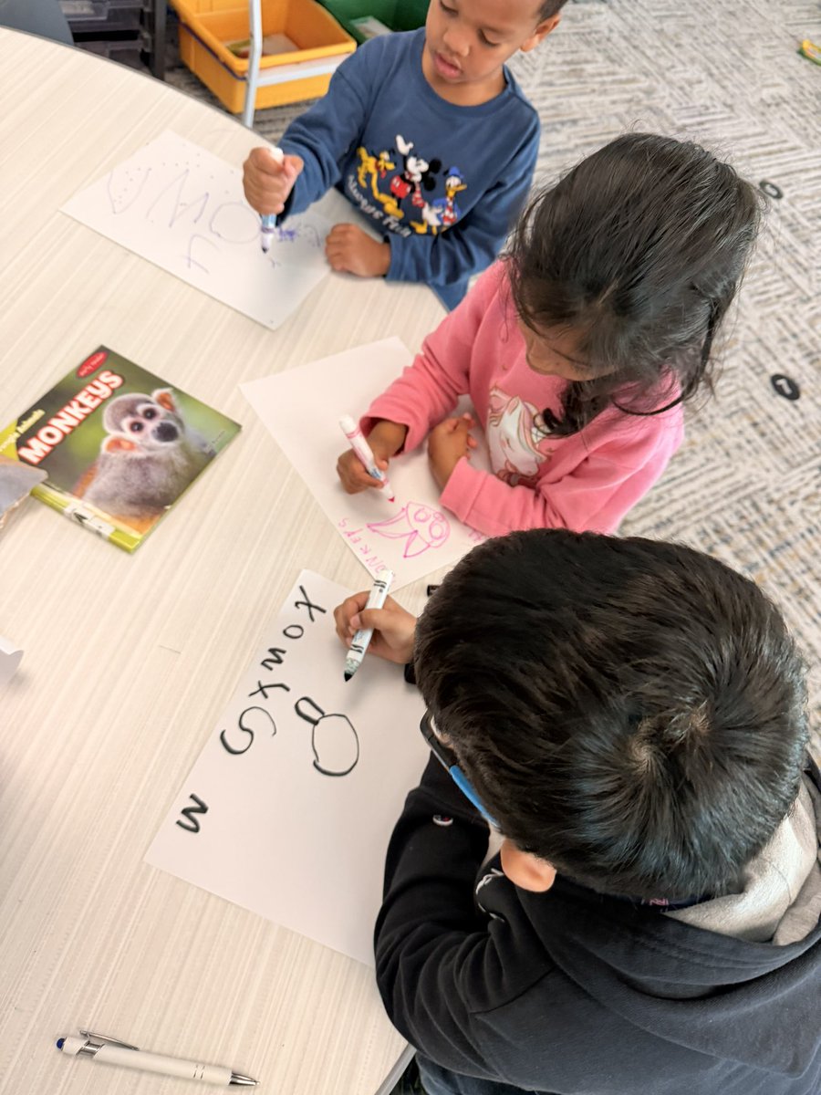 HaileyLewisprek's tweet photo. As we wrapped up our animal unit, students chose an animal to research. They worked independently and in groups to learn where their animal lives and what it eats. Through this activity, they collaborated with peers and practiced their writing skills. 🐾📚

#calhounconnects https://t.co/tmud3BLisH