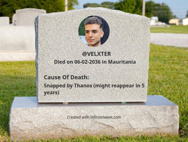 VELXTER tweet media