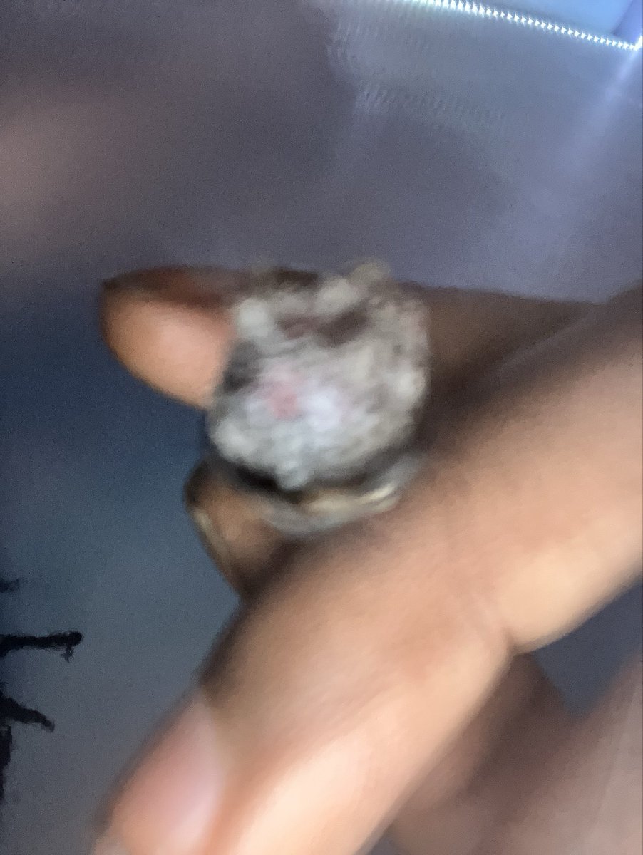 slayerBitt's tweet photo. https://t.co/P9mi2V1kUi