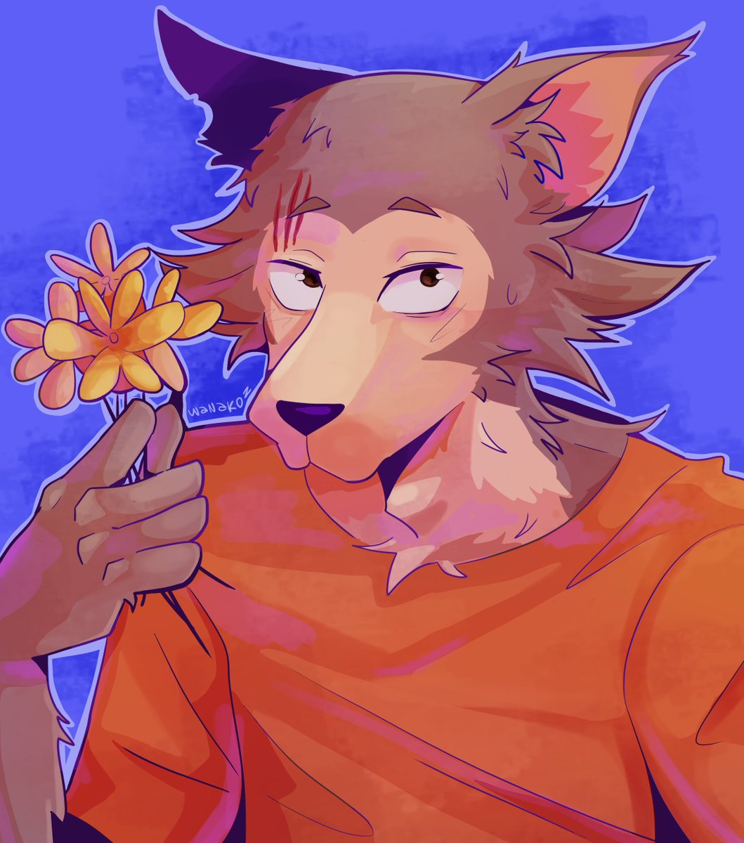 Wanakoz's tweet photo. legoshi lobito lindo. espero no haberme olvidado ponerle nada porque abandoné este dibujo como 1 semana lol #BEASTARS #beastarsfanart https://t.co/f1Pdp3Ixwp