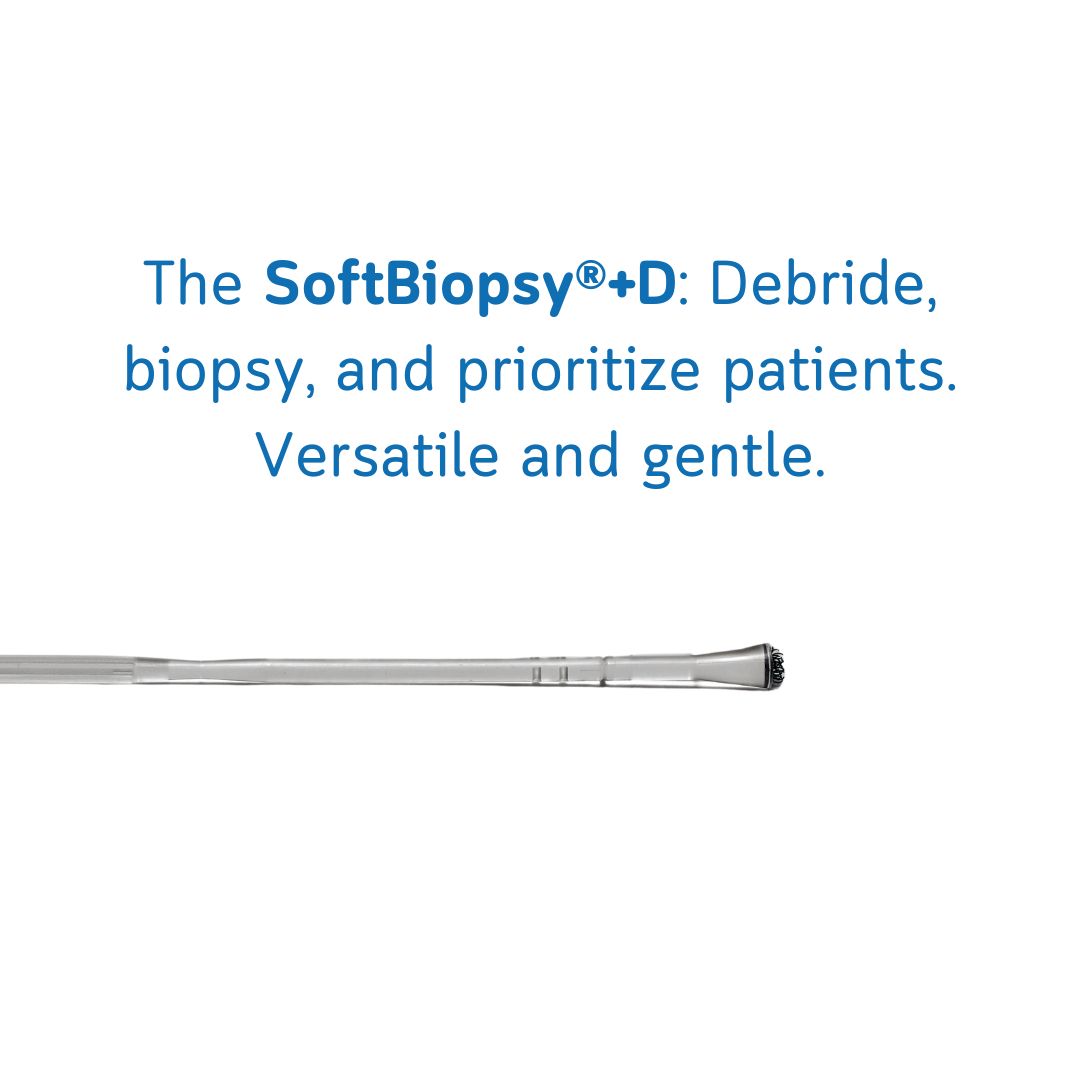 Histologics tweet media