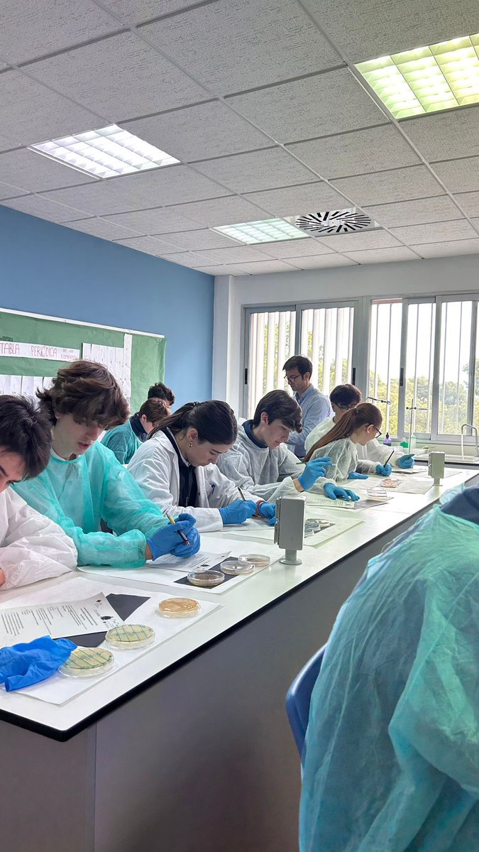 SWICEU/MicroMundoCEU tweet media