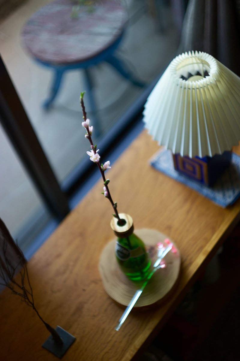 kutoutenkouenji's tweet photo. Good morning and have a nice day ♪
#キリトリセカイ
#photo #summarit https://t.co/wsXSCdwGdc