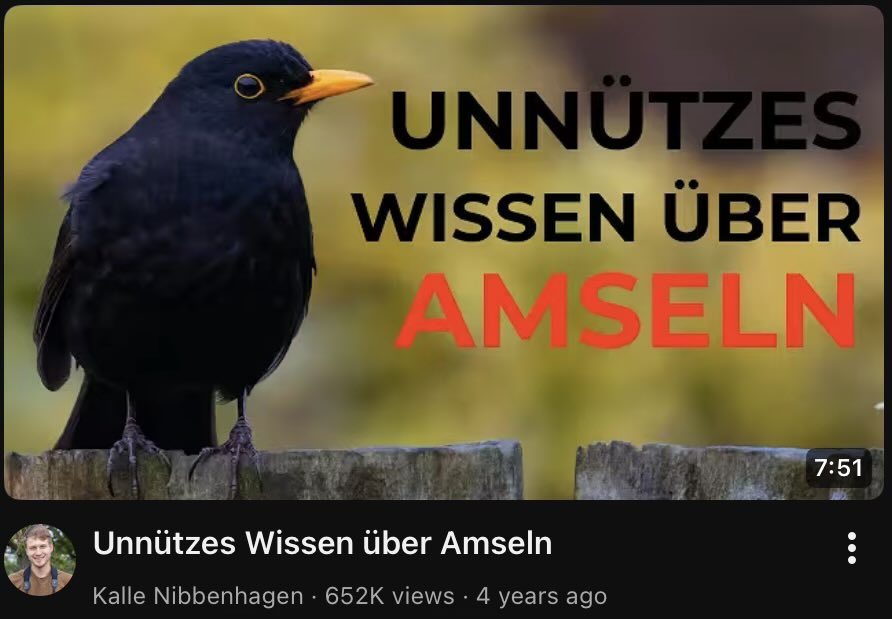 lilymeowmeow tweet media