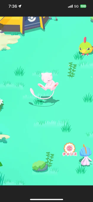 今日のポケスリ ミュウと色違いラルトスきたかわいい