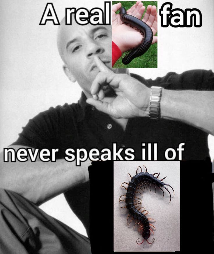 Stefy (@teffydreasmz) on Twitter photo 