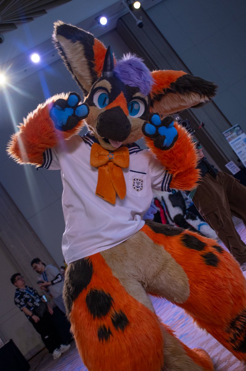 丹波( Dumbo ) & 秋葵( Fallkui ) 🔜2026？ tweet media