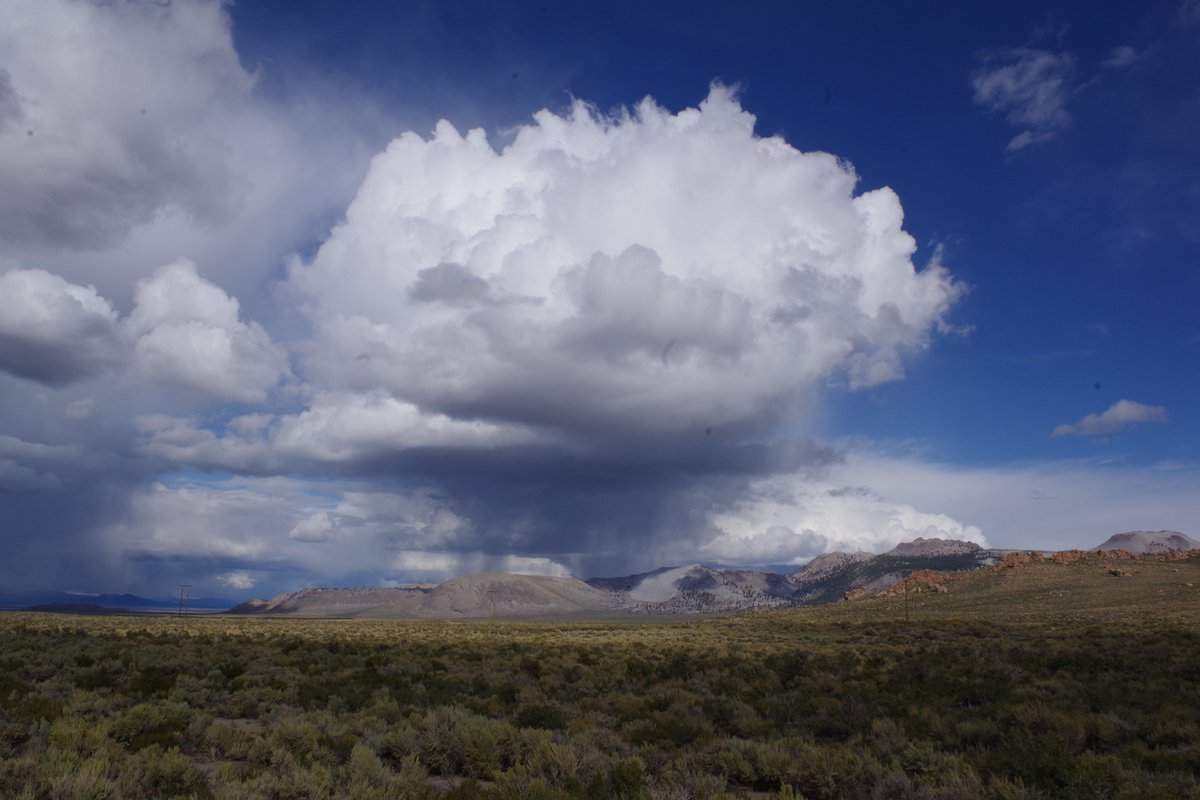 Kevin Rushton (@kevinrushton888) on Twitter photo 