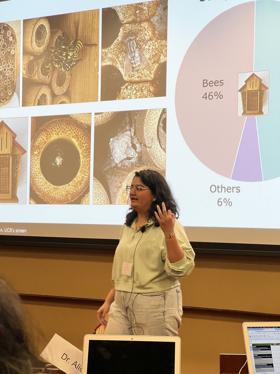 CIBER: Center for Integrative Bee Research tweet media