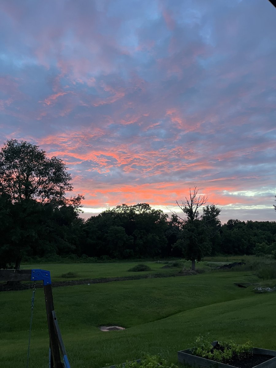 CosmicAdonis tweet media