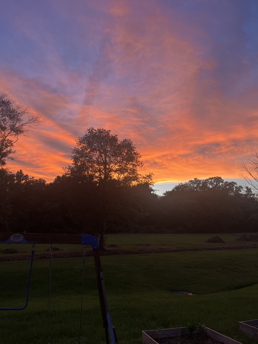 CosmicAdonis tweet media