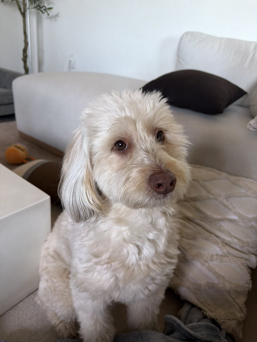 AaronEncinasmusic tweet media