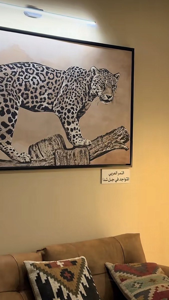 خلود 🇸🇦 tweet media