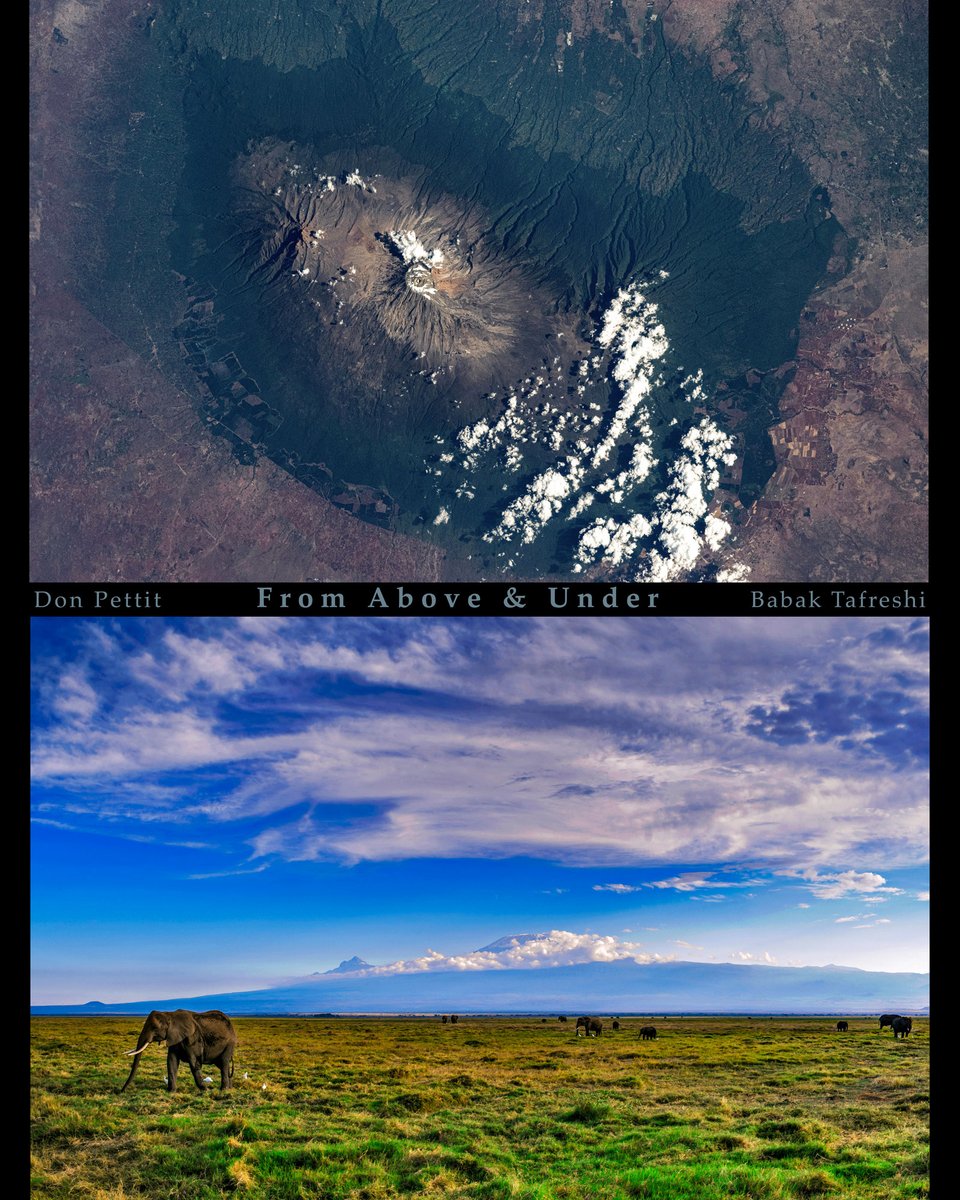 Don Pettit tweet media