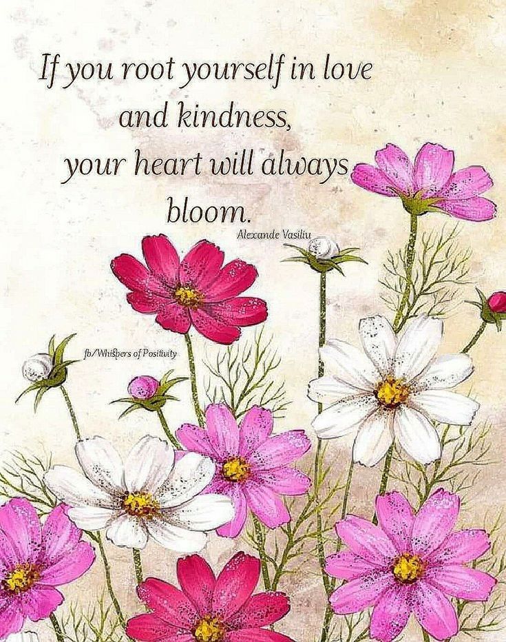 Inspiration & More tweet media