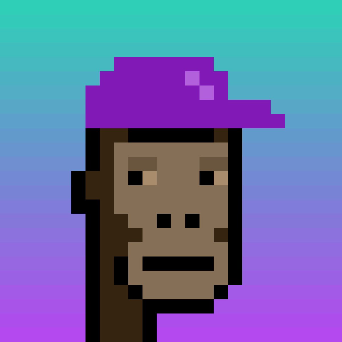 Hash🦉 tweet media