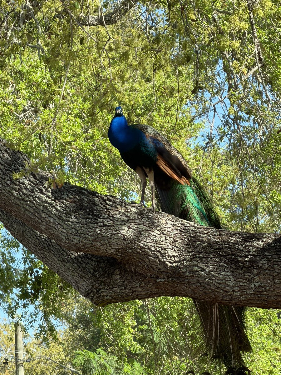 Lia Assimakopoulos tweet media