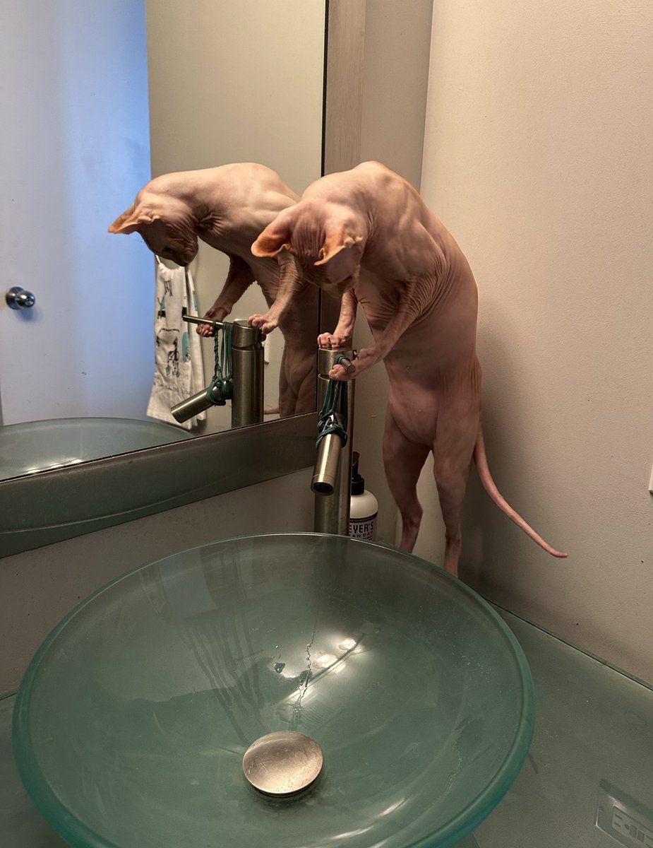 This faucet has been tied shut for three years, because he developed a crippling addiction to turning it on. 

Nevertheless, he persists…