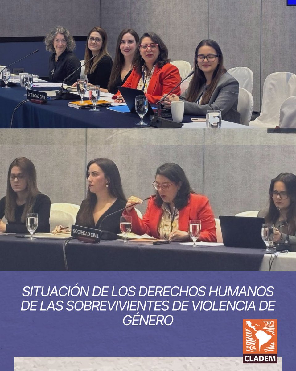 CLADEM Regional tweet media