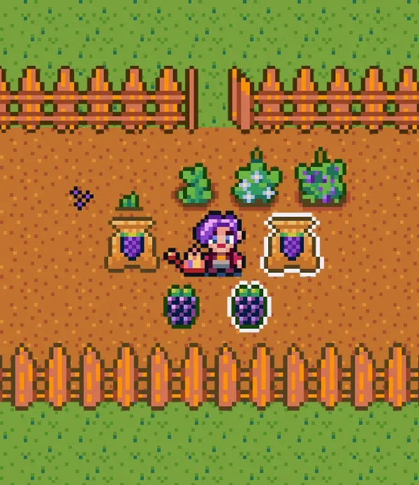 Tolee_Mi_GmDsgn's tweet photo. New crop added: Blackberry  
https://t.co/pocJgvGl3F

16×16 crop cycle sprites designed for farming systems and RPG inventories.  

#pixelart #gamedev #indiedev #gameassets #2dsprites https://t.co/1qWF3yqp0Q
