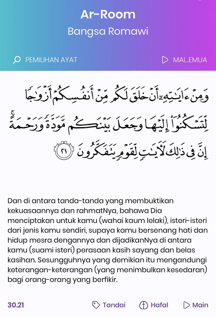 Astaghfirullah. Suka hati dia je nak misinterpret ayat Quran. 

That part “dari jenis kamu sendiri” tu merujuk pada ‘the same species of human being’, bukannya pada ‘the same sex’

Apa lanjiao perangai