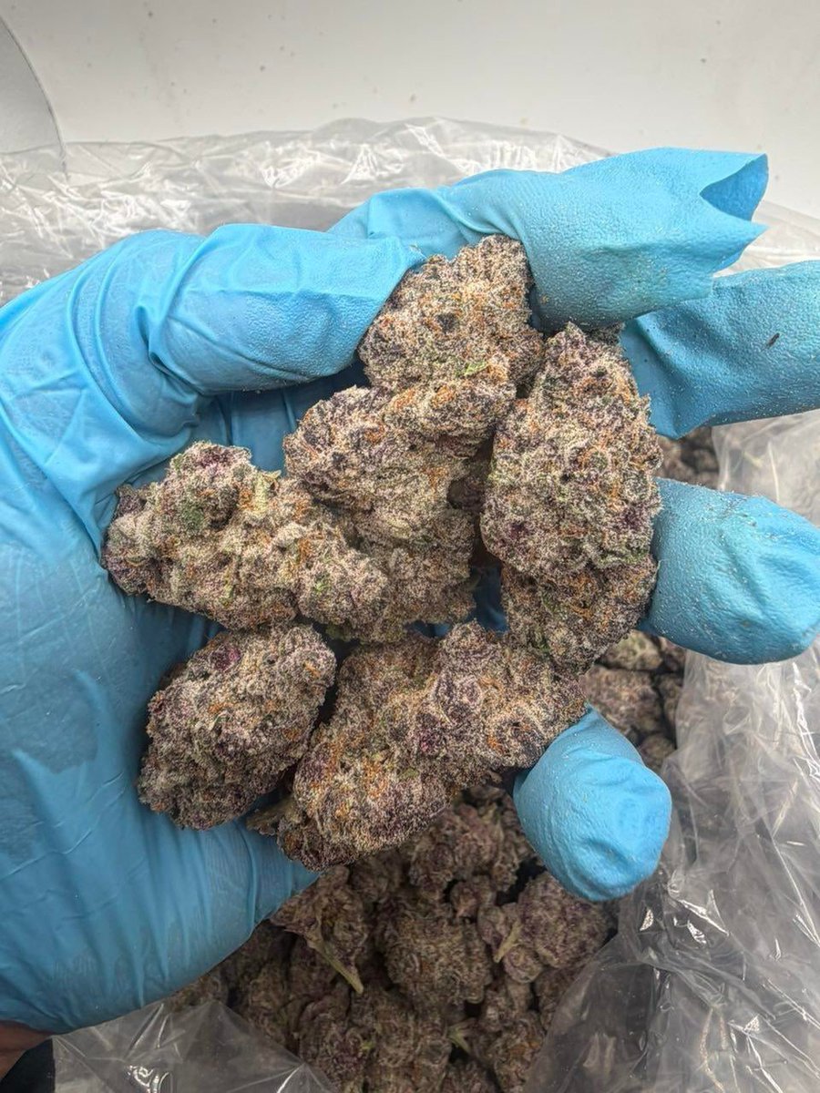 LiftedLeaf tweet media