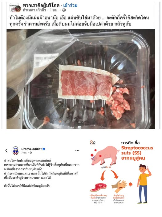 Molasda1's tweet photo. 📷มาสรุป📷ประเด็นสำคัญอยู่ตรง คอมเมนต์ของคนในโซเชียล 📷 ในลิงก์ใต้โพส 📷
หลายคนอาจยังไม่รู้ว่า โรคหูดับ นอกจากจะติด��ชื้อoจาก การกินหมูดิบหรือหมูที่ปรุงไม่สุก 📷📷 แล้ว
📷 ถ้ามือเรามีแผล และนำแผลนั้นไป สัมผัสหมูดิบ ก็มีโอกาสที่เชื้อแบคทีเรีย Streptococcus suis https://t.co/7J0HfkQFcH