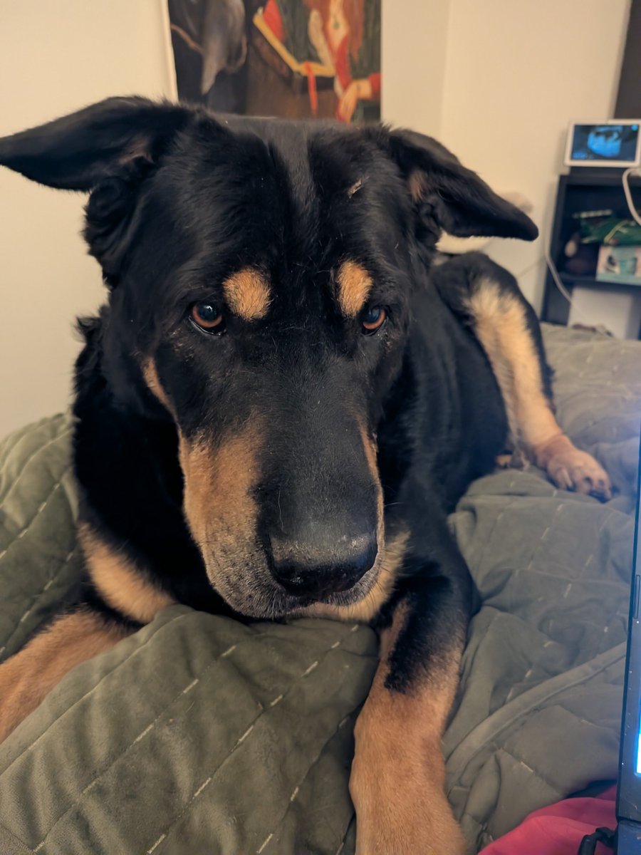 Stephie F. F.S tweet media