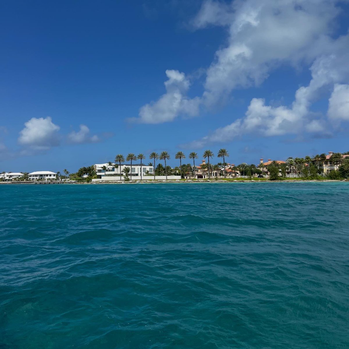 BachelorBtch tweet media