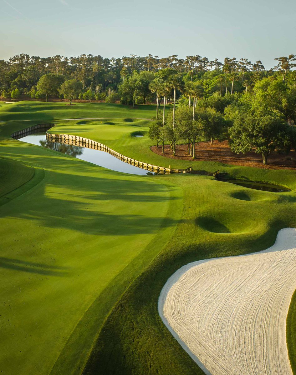 Patrick Koenig tweet media