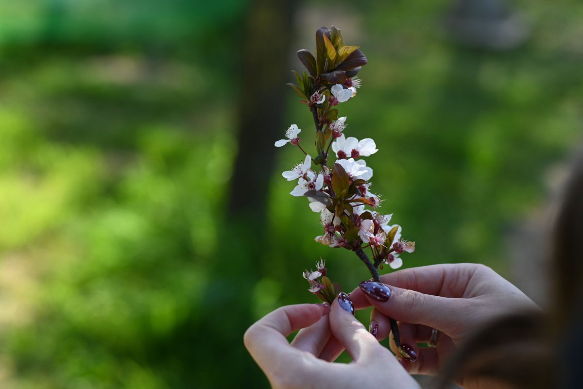 Aristotle University of Thessaloniki tweet media