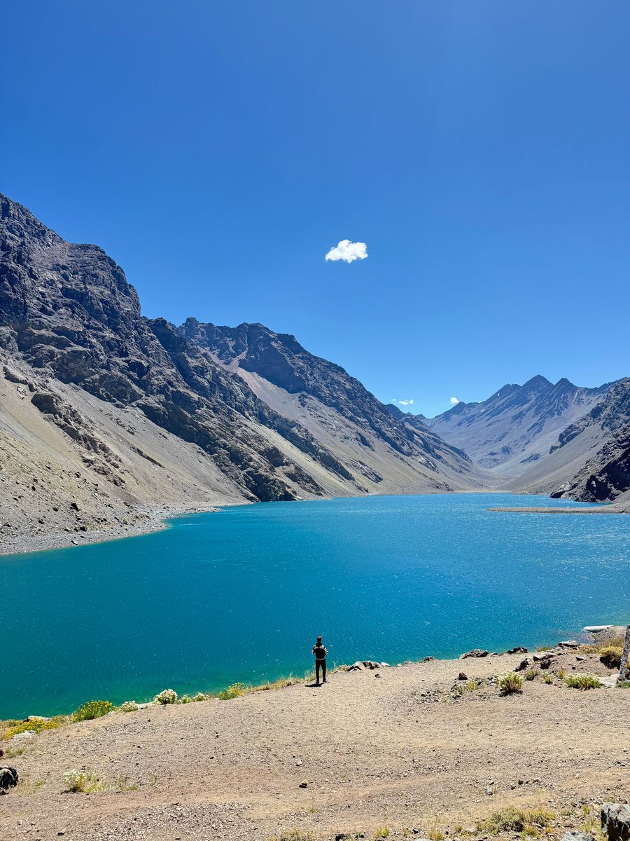 Mitch Leslie tweet media