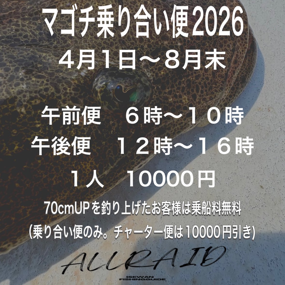 ALLRAID_yn's tweet photo. マゴチ乗り合い便4月1日からスタート！
そして、今年も夢の70㎝UPを釣り上げた方は乗船料無料(乗り合い便のみ。チャーターは10000円引き)
是非伊勢湾モンスターを狙いに来て下さい😁

#伊勢湾　#伊勢湾奥　#知多半島  #ボートマゴチ　#マゴチ https://t.co/jGBNMvDEJ9