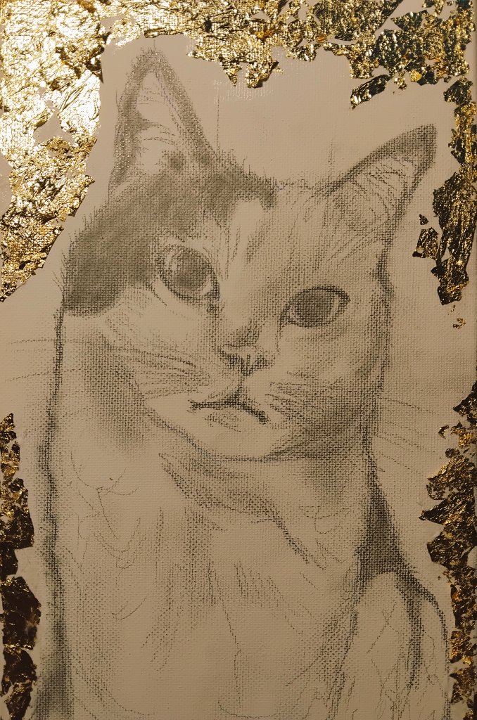 xinthiarella1's tweet photo. "Gli occhi di un gatto sono due finestre
dietro le quali una divinità misteriosa
ci osserva in silenzio." https://t.co/ndr3WqxUTG