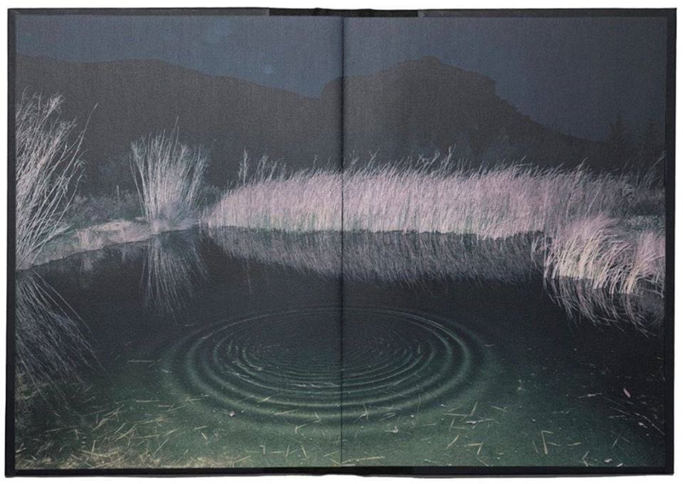 edwin raphael tweet media