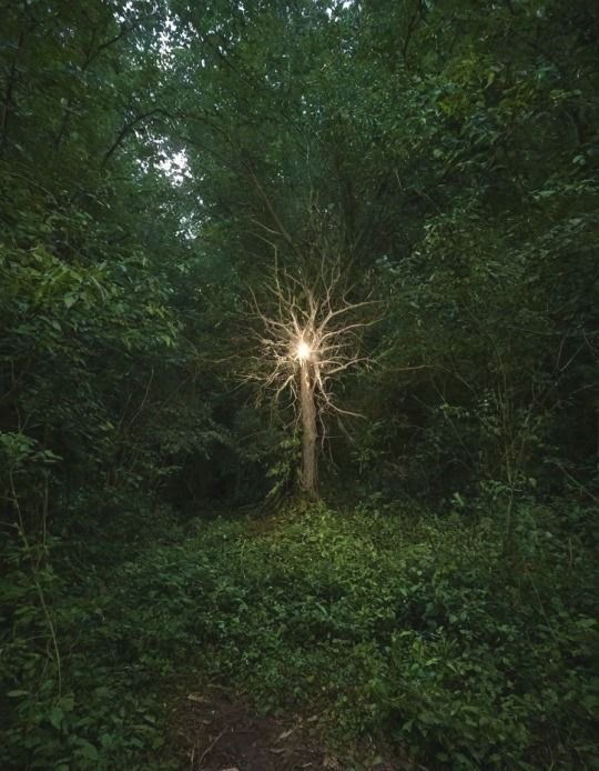 edwin raphael tweet media