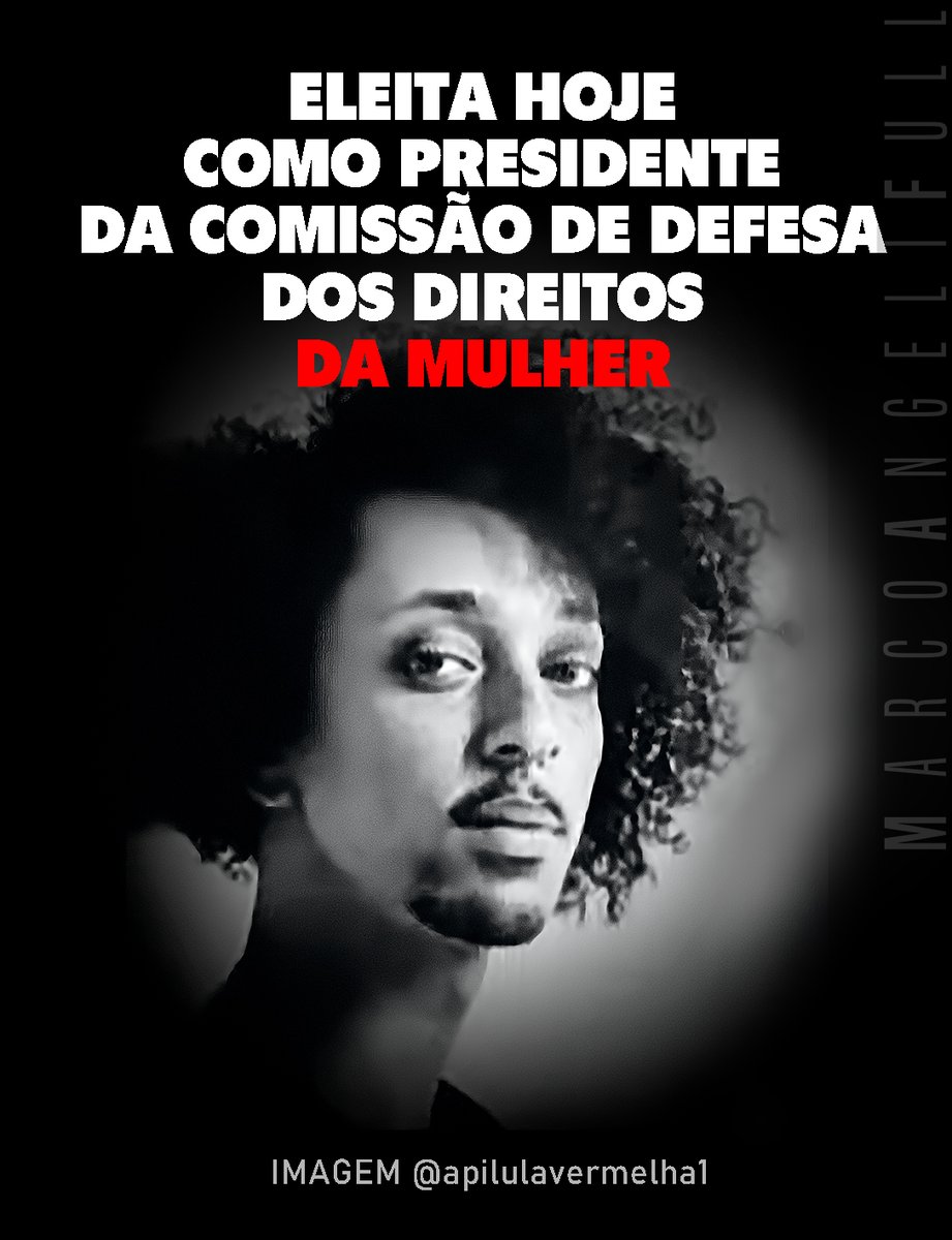Erika Hilton, que começou sua carreira em 2020 como vereadora(o) do PSOL, e depois virou deputada federal em 2022, foi eleita(o) hoje presidente da Comissão de Defesa dos Direitos da Mulher da Câmara dos Deputados, que terá, segundo ela(o) uma atuação mais abrangente, defendendo