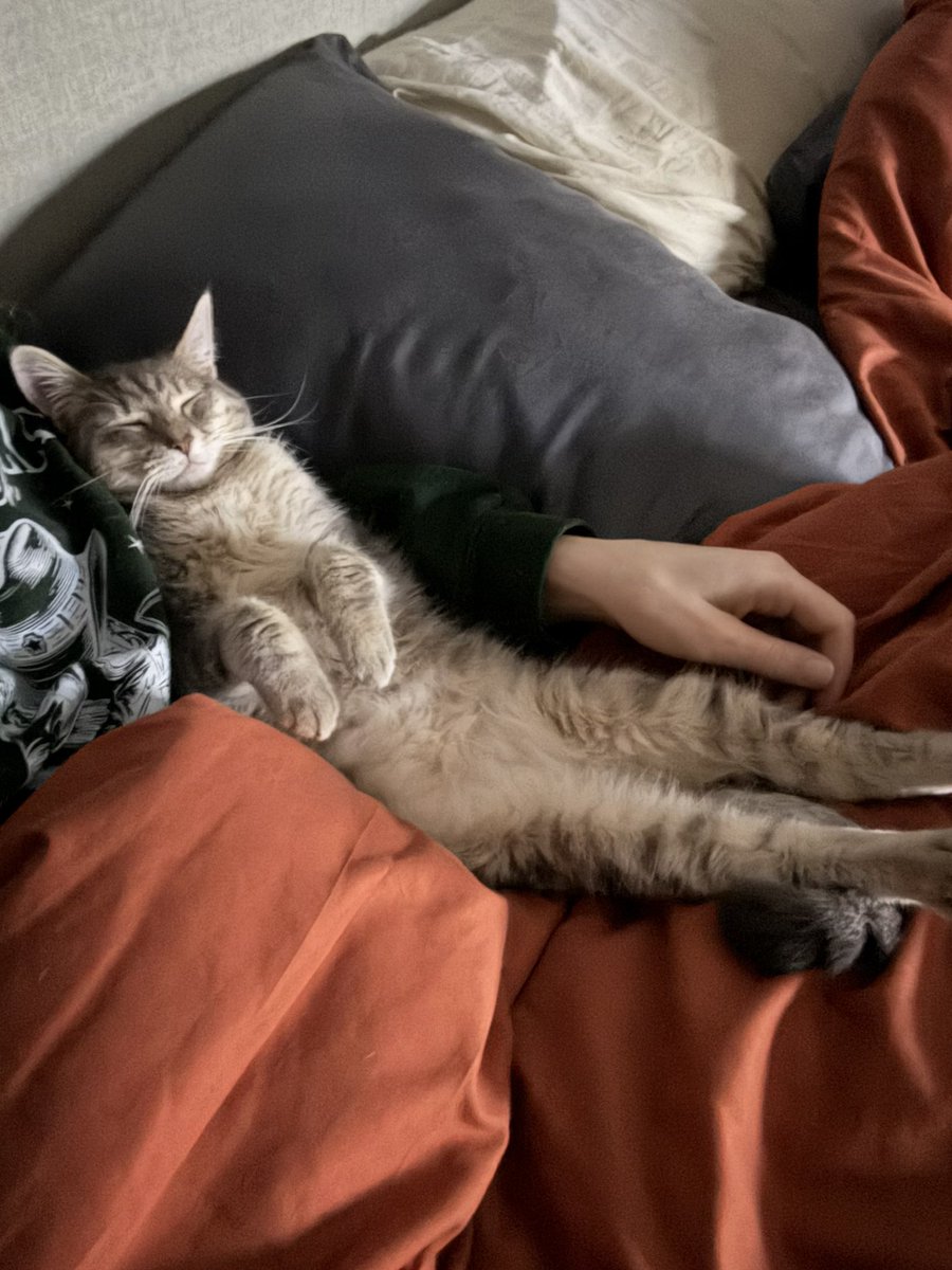 Sarah Fletcher tweet media