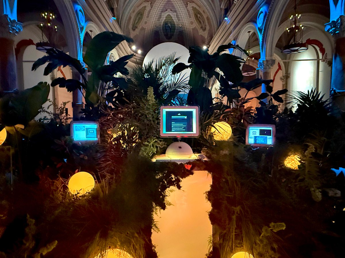 Perplexity Fund tweet media