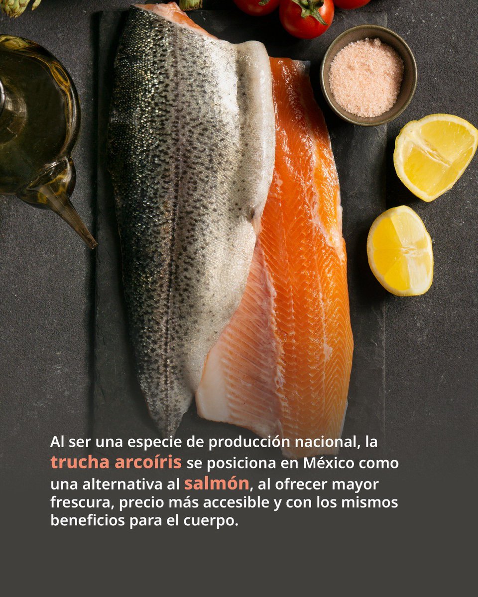 RigoSalgadoV's tweet photo. ¿Sabías que la trucha arcoíris y el salmón no son lo mismo?
 
Aunque pertenecen a la misma familia de peces, presentan diferencias en su tamaño, hábitat y color. 

Te compartimos algunos datos importantes.

Consumir trucha arcoíris no solo es una excelente fuente de proteína, tiene precio más accesible y también es una forma de apoyar a nuestras acuacultoras y acuacultores y promover el consumo local.