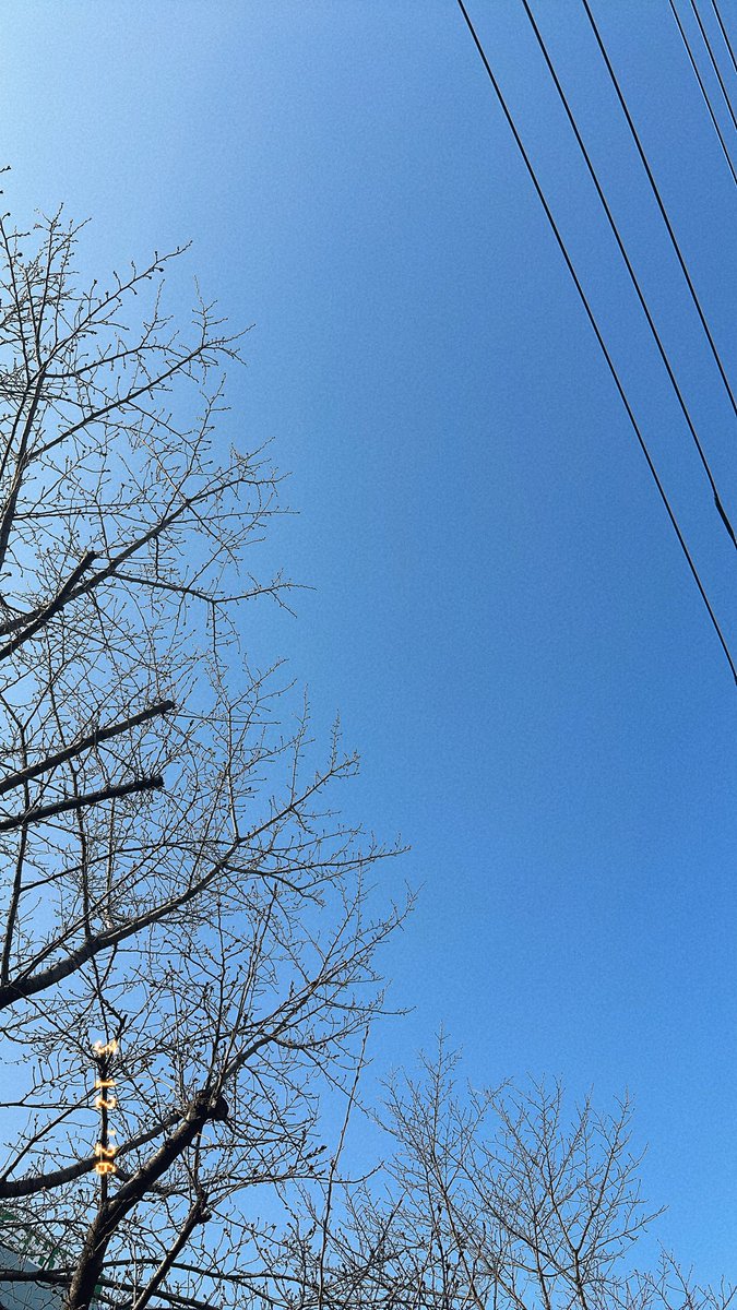 おはよございます！
プランクキープしてると腕が痛くなるんだけど、正解かな🤔
お腹の筋肉ありすぎて最近お腹筋肉痛にならないから使えてないんじゃないかと思っちゃう🤨