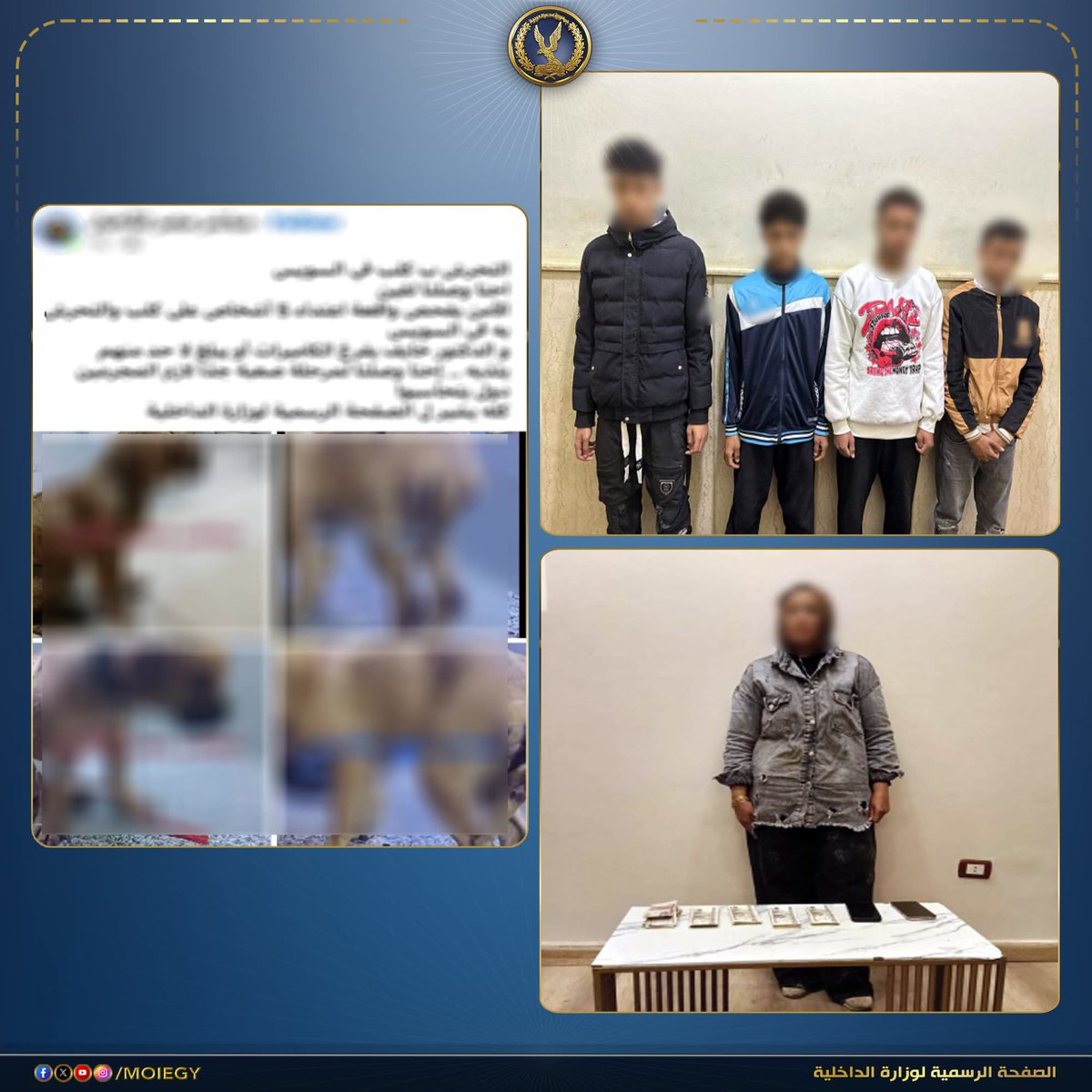 Samar♡ tweet media