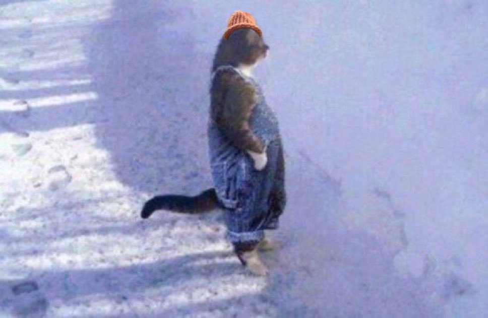 iSoRicky's tweet photo. @VyIetz Called me a midget and allat 😂😔😔 https://t.co/PdwTpxOQKy