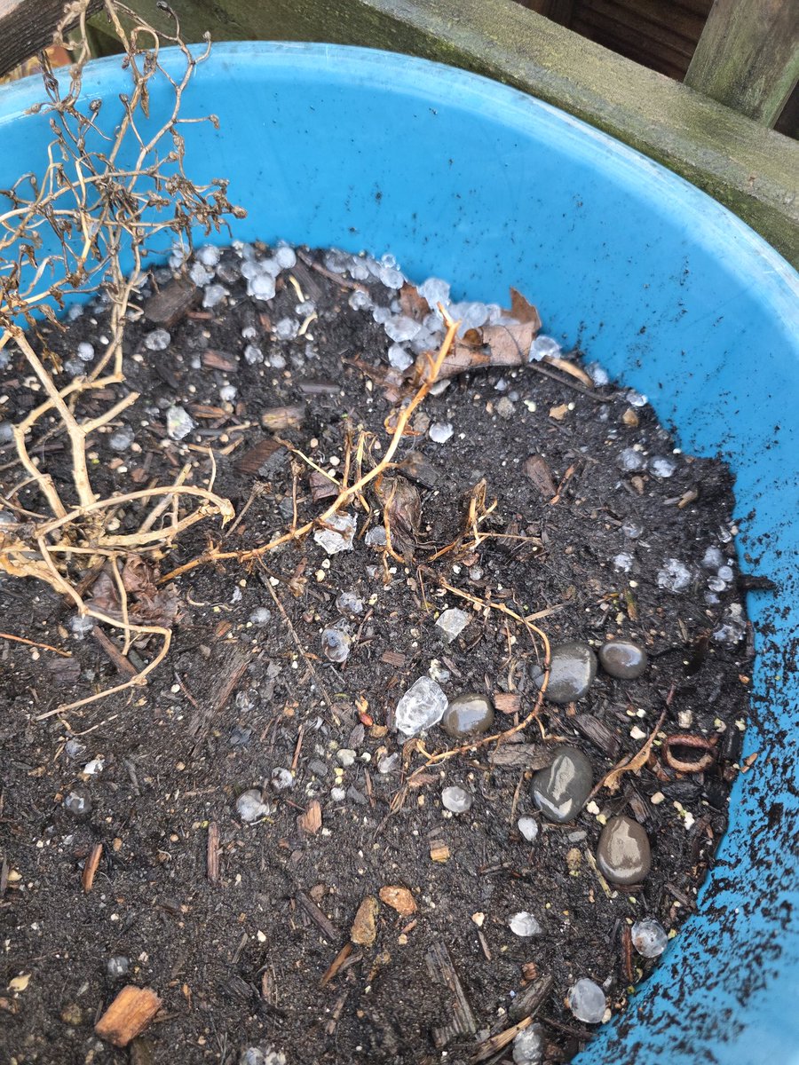 Professor Minerva McGonagall tweet media