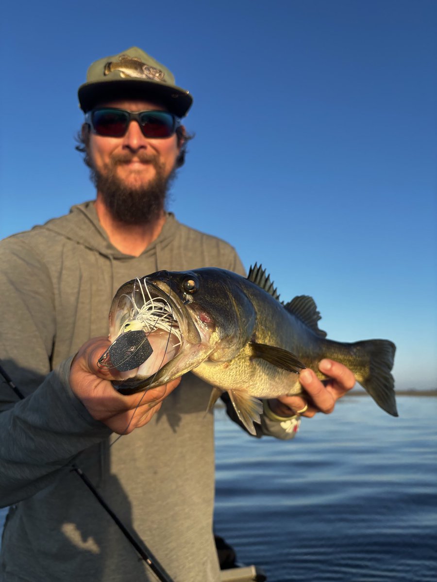 BassPuzzle／バスパズル tweet media