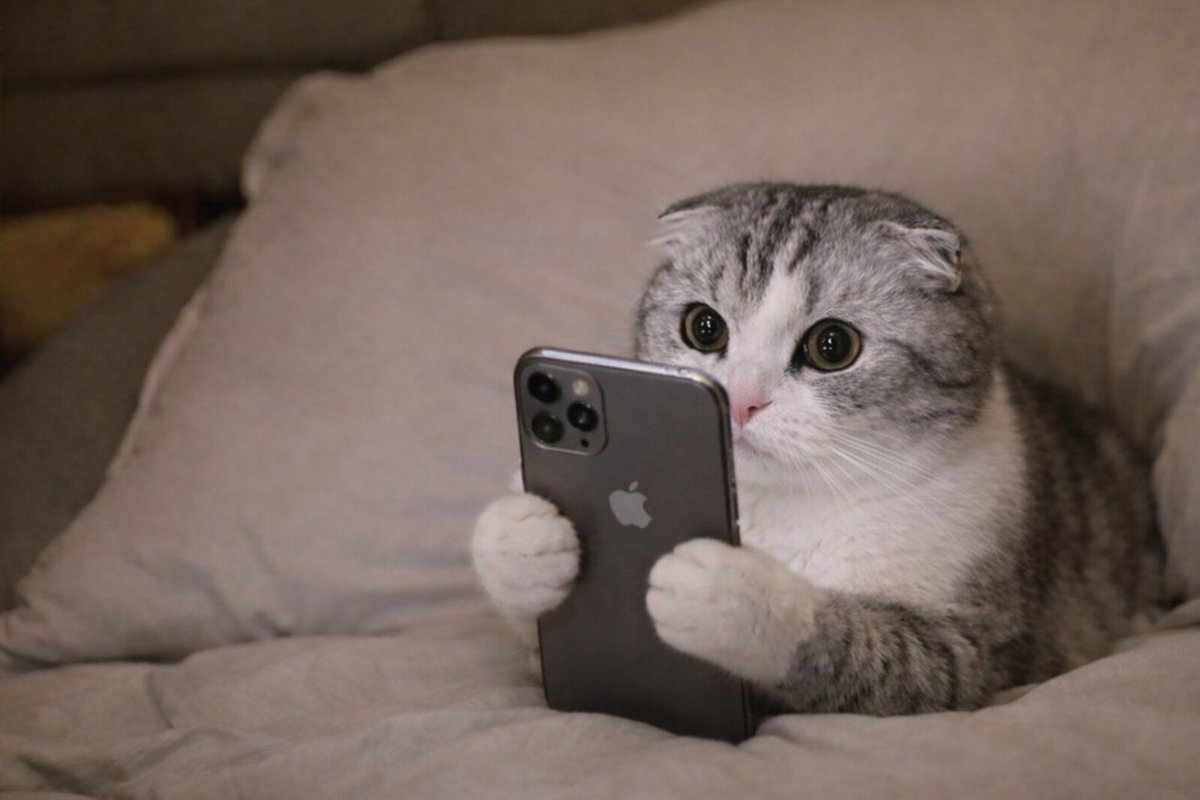 TycoonTeh's tweet photo. @Fityeth Ok nice 

But $Muu is primed anyways

@muu_thecat https://t.co/slg7zuoj5j