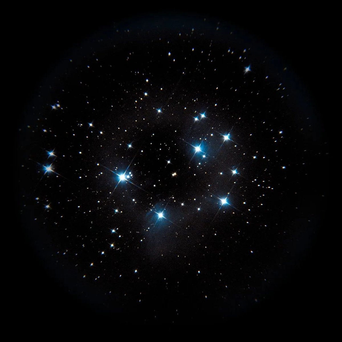 smartphone_astr's tweet photo. M45 #Pleaides by our member @KOZAKURAKAZUHI1. Please see ALT for details - #mobilephotography #smartphone_astrophotography #Astrophotography // https://t.co/px6LVyv2qm https://t.co/1EBYbn25ZM
