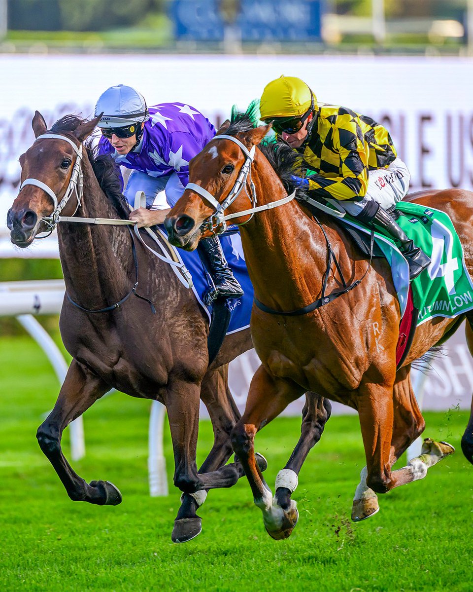 Australian Turf Club tweet media