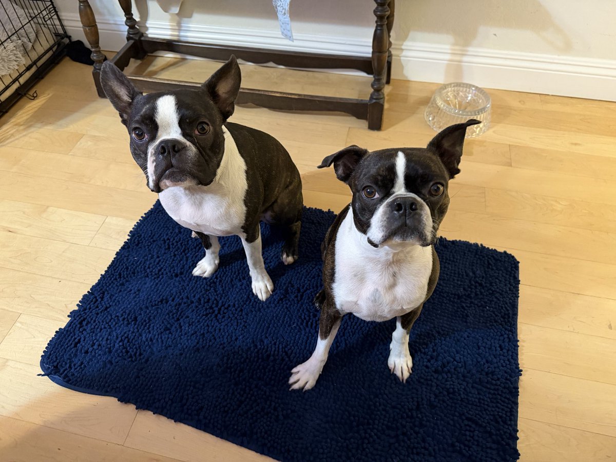 Maureen Downey tweet media